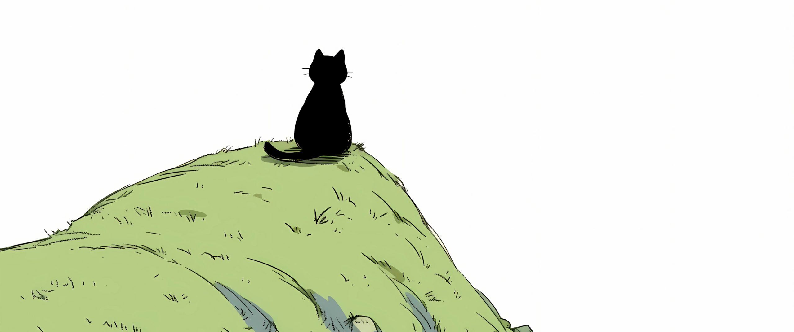 精品服务器推荐-Ao源码网